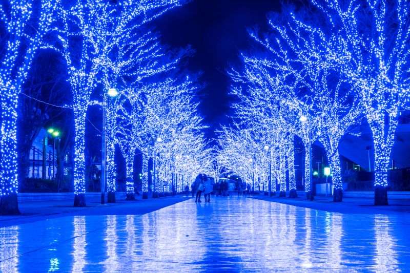 Sagamiko Illuminillion Sagamiko Illuminillion